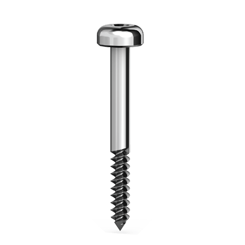 FS-19 Long fixation screw – AB Dental Devices Ltd., Systemunabhängige Instrumente und Zubehör