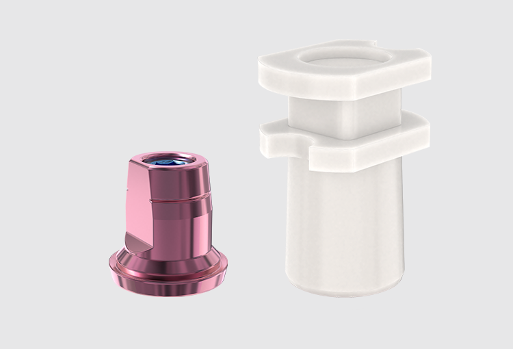 D4-P24 Plastic snap transfer kit – AB Dental Devices Ltd., Implant Components & Abutments