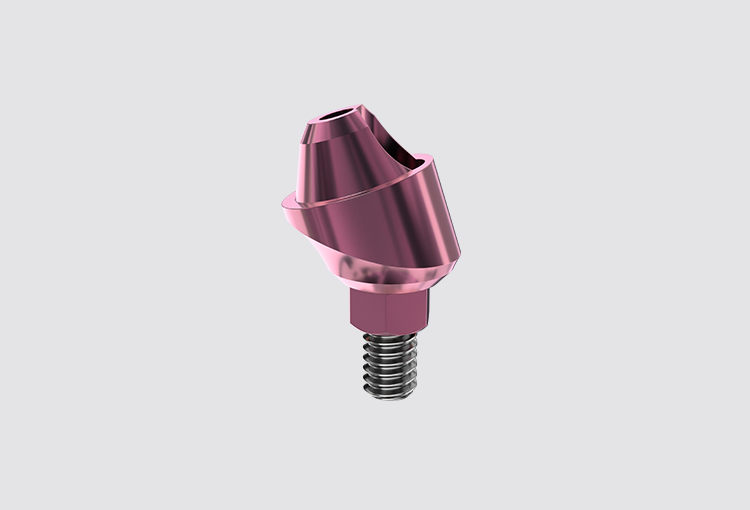 P24 Angular/straight multi-unit abutment – AB Dental Devices Ltd., Implant Components & Abutments