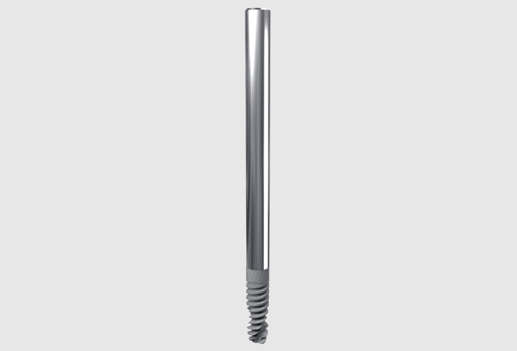 i-Z For the ZYGOMATIC bone – AB Dental Devices Ltd., Implant Systems