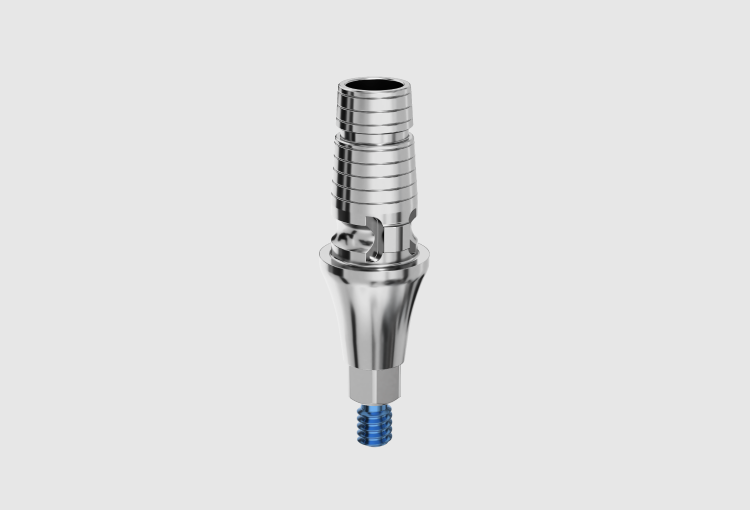 P3NLC Long Ti base abutment – AB Dental Devices Ltd., Abutments
