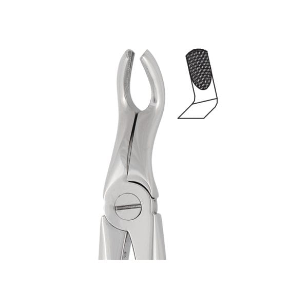 Tooth Forceps Englisth Pattern Fig. 67 – Accuram Instruments, Extraktionszangen