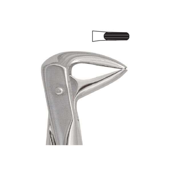 Tooth Forceps Englisth Pattern Fig. 123 – Accuram Instruments, Extraktionszangen