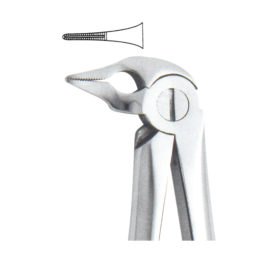 Tooth Forceps Englisth Pattern Fig. 185 – Accuram Instruments, Extraction Forceps