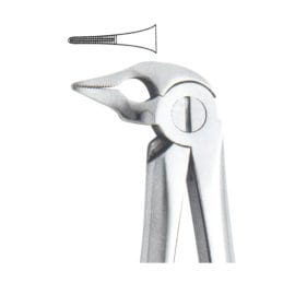 Tooth Forceps Englisth Pattern Fig. 185
