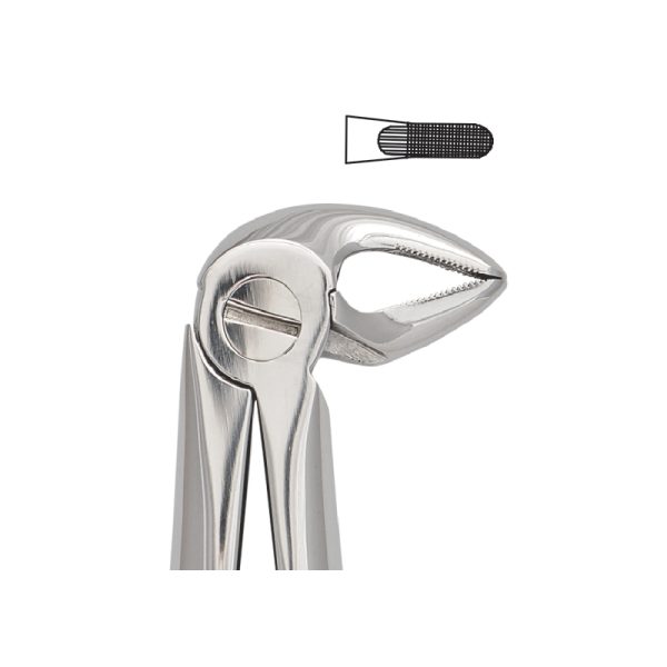 Tooth Forceps Englisth Pattern Fig. 33 – Accuram Instruments, Extraction Forceps