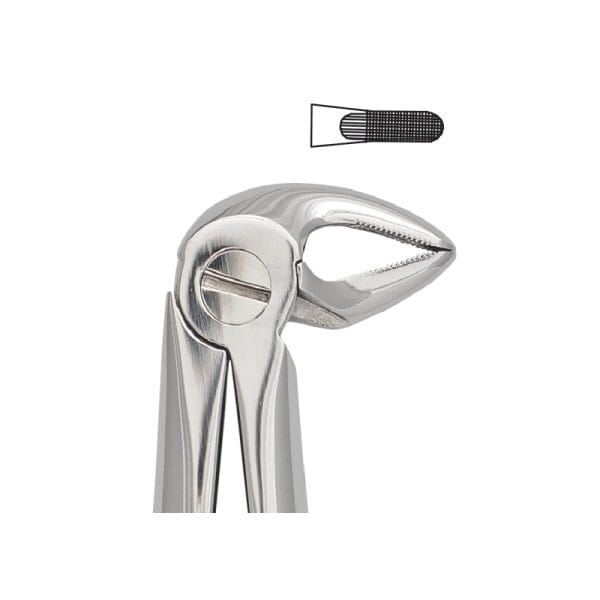 Tooth Forceps Englisth Pattern Fig. 33 – Accuram Instruments, Extraktionszangen