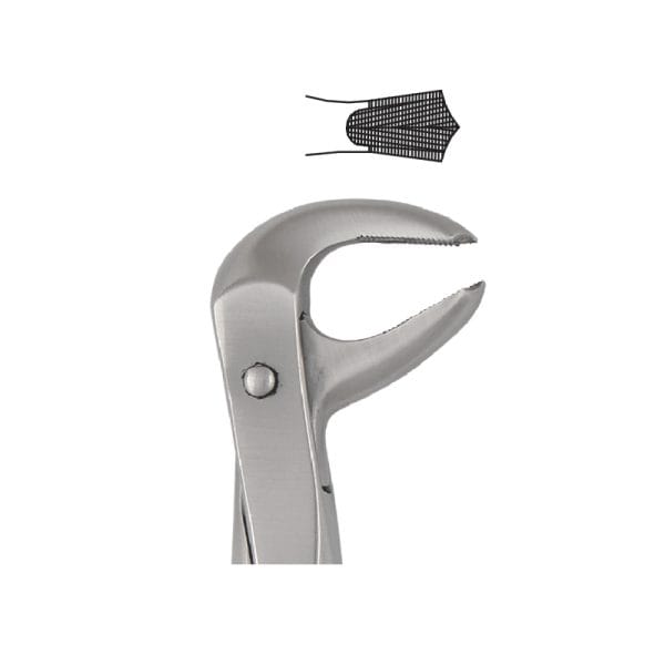 Tooth Forceps Englisth Pattern Fig. 73