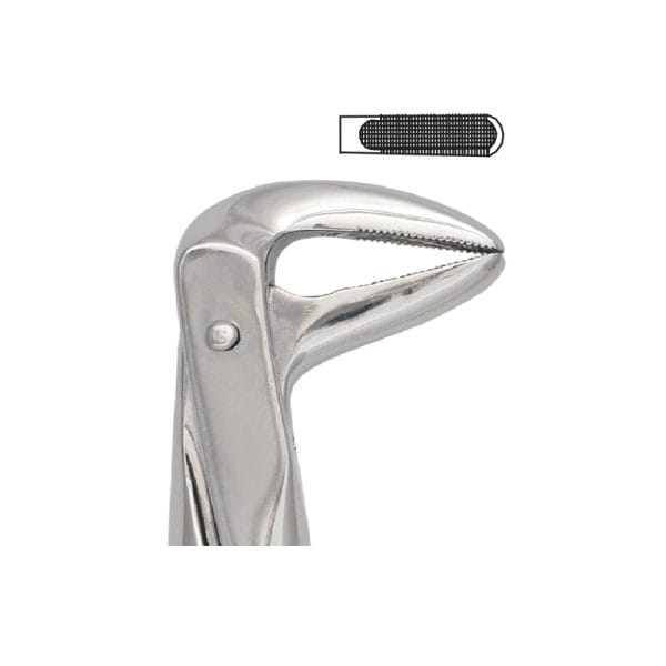Tooth Forceps Englisth Pattern Fig. 74 – Accuram Instruments, Extraktionszangen