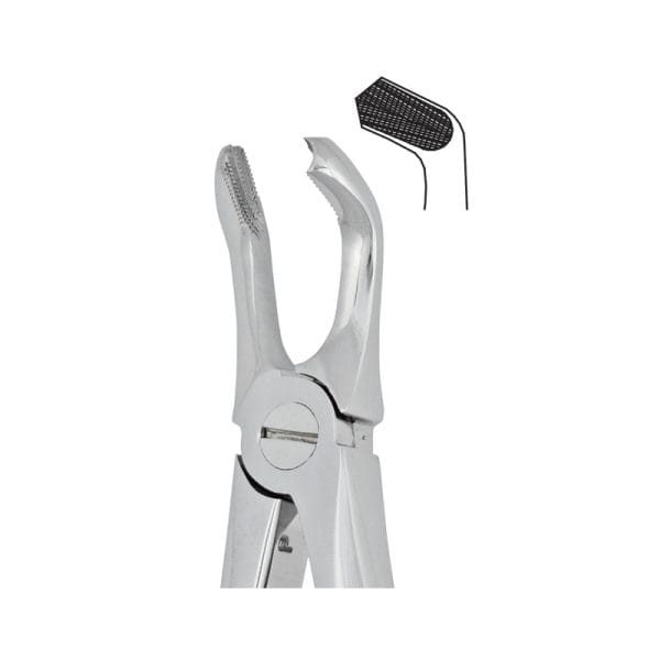 Tooth Forceps Englisth Pattern Fig. 79