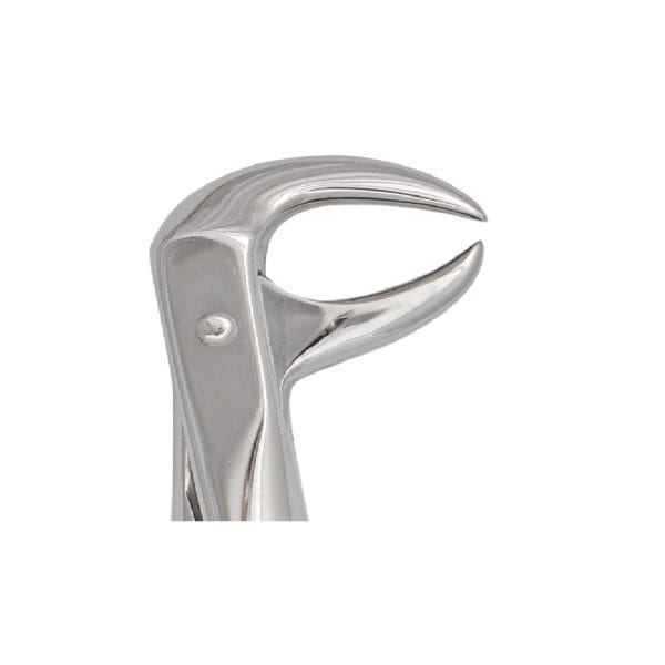 Tooth Forceps Englisth Pattern Fig. 86