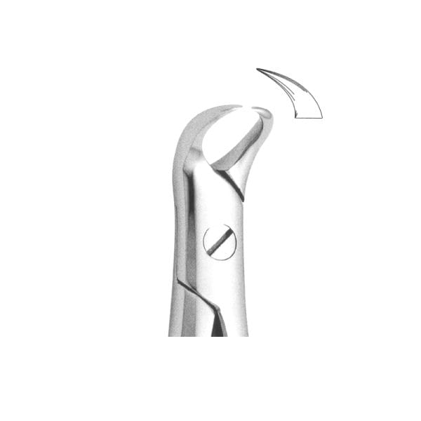 Tooth Forceps Englisth Pattern Fig. 87