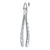 Tooth Forceps Englisth Pattern Hole Handle Fig. 2