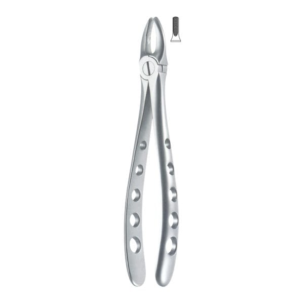Tooth Forceps Englisth Pattern Hole Handle Fig. 2 – Accuram Instruments, Extraktionszangen