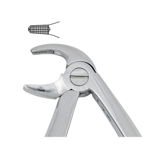 Tooth Forceps Pedodontic Spring Pattern Fig. 170 – Accuram Instruments, Extraktionszangen