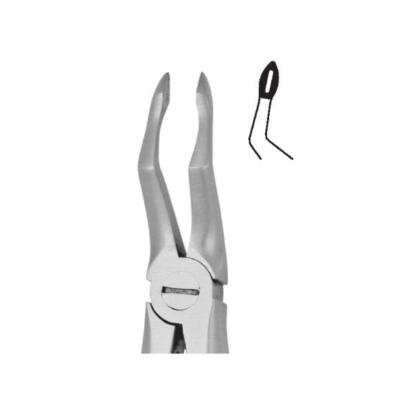 Tooth Forceps Blades Beak Grip Profile Anatomic Handle Fig. 51 – Accuram Instruments, Extraktionszangen