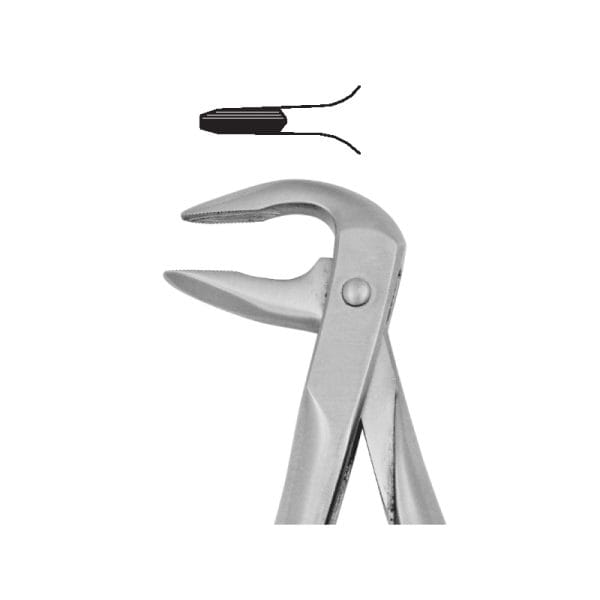 Tooth Forceps Blades Beak Grip Profile Anatomic Handle Fig. 74