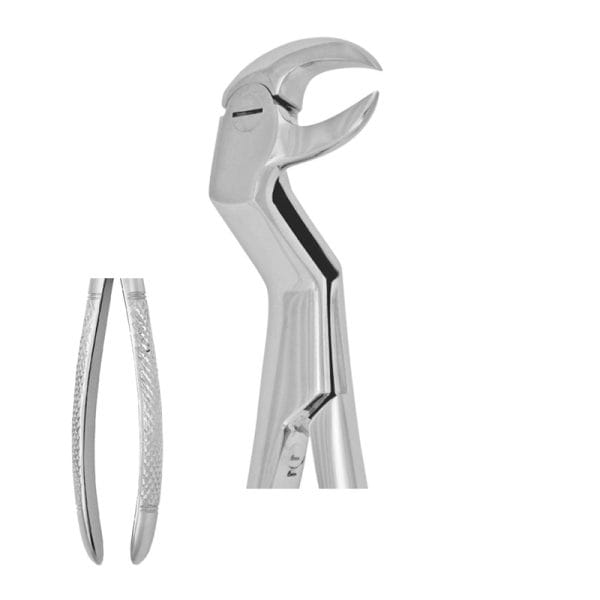 Tooth Forceps # Special