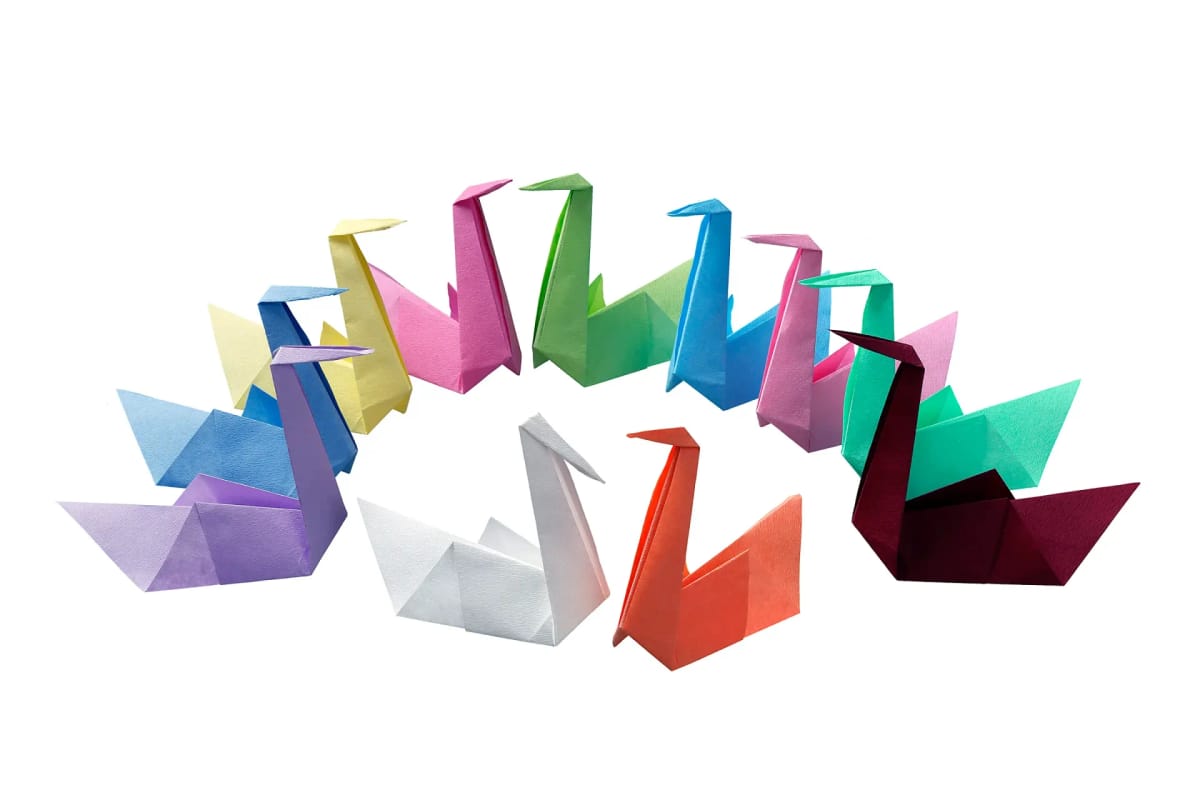 Tray Paper 28 x 36 cm – Akzenta International SA, Disposables