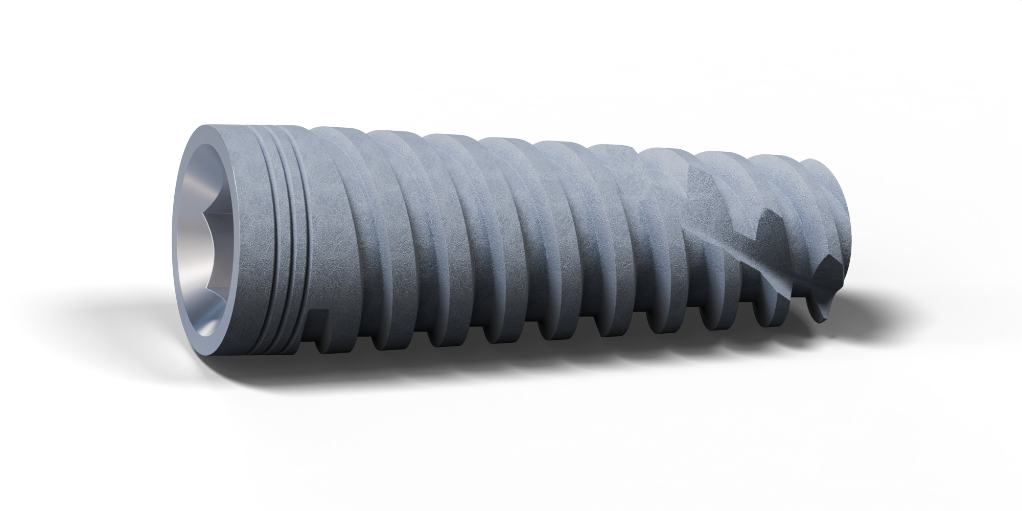 Porous Implant