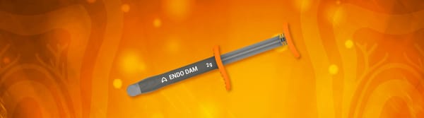 ENDO DAM