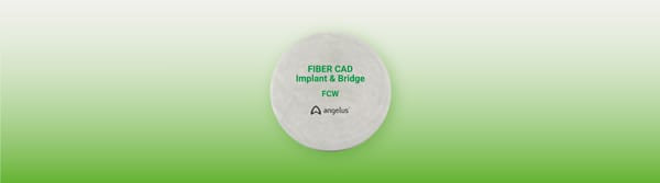 FIBER CAD IMPLANT & BRIDGE