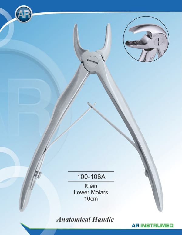 Klein Lower Molars 10cm