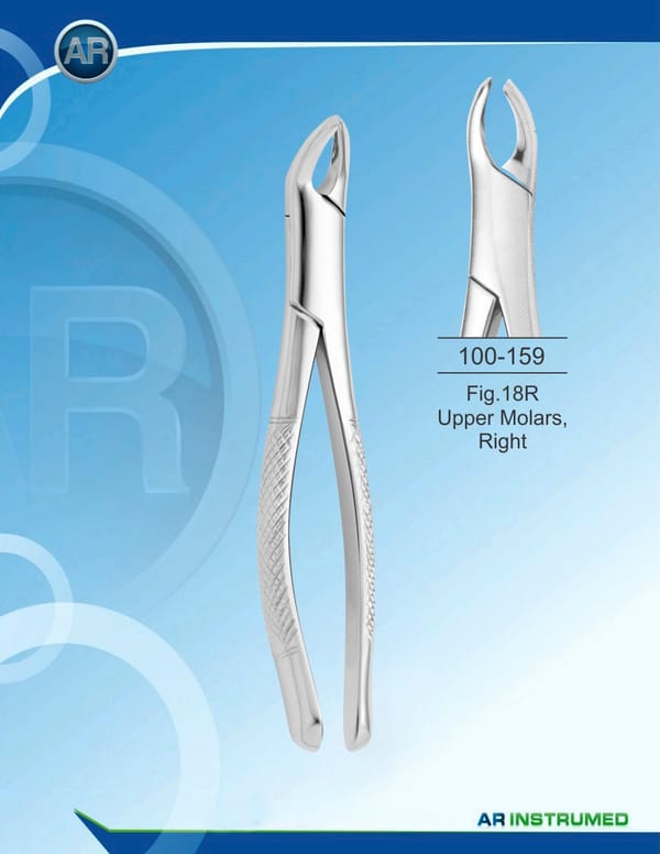 Fig.18R Upper Molars, Right