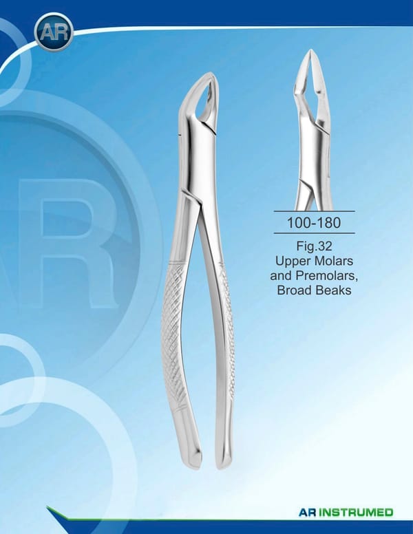 Fig.32 Upper Molars and Premolars, Broad Beaks