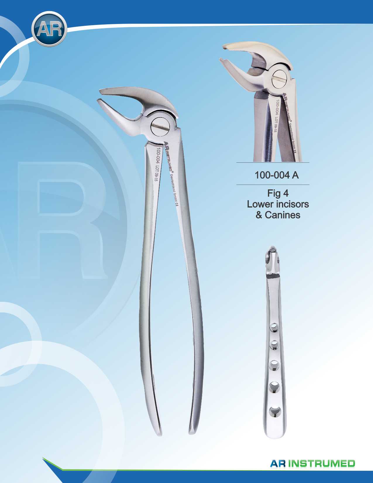Fig.4 Lower Incisors &amp; Canines 16.5cm