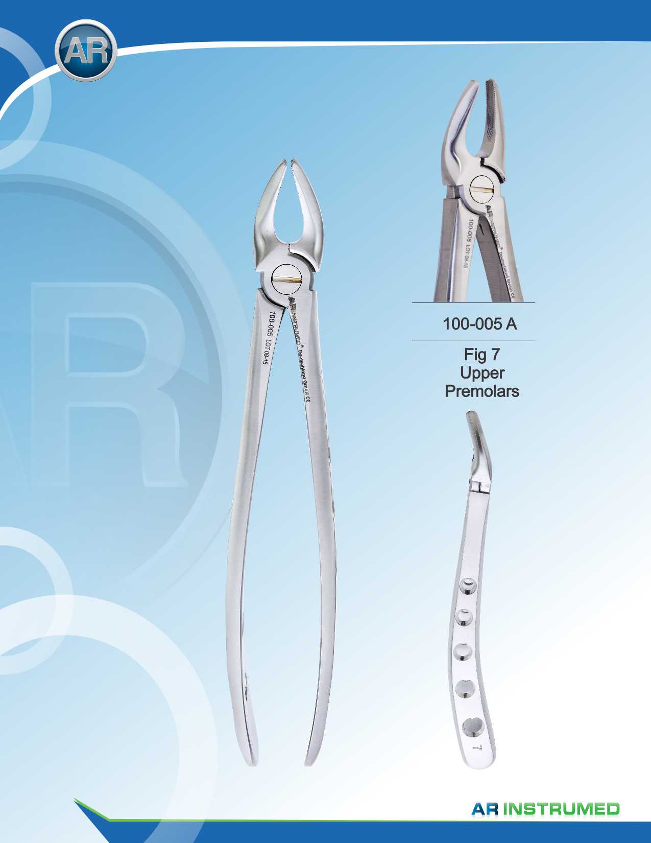 Fig.7 Upper Premolars 16.5cm