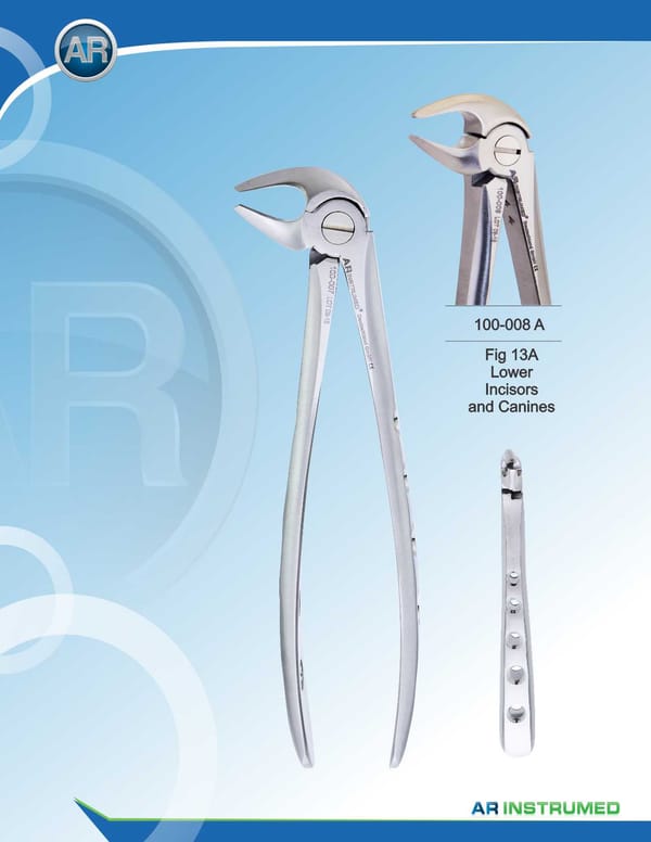 Fig.13A Lower Incisors &amp; Canines