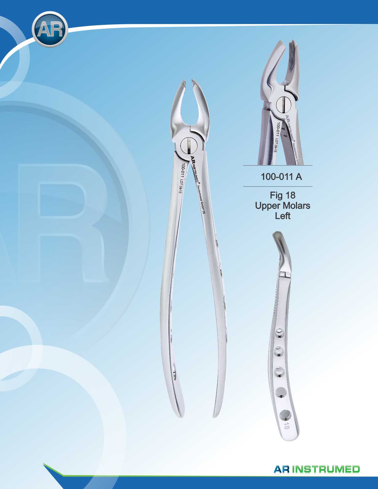 Fig.18 Upper Molars Left 16.5cm