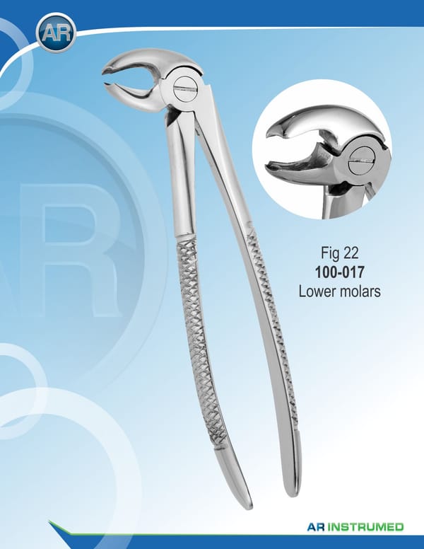 Fig.22 Lower Molars