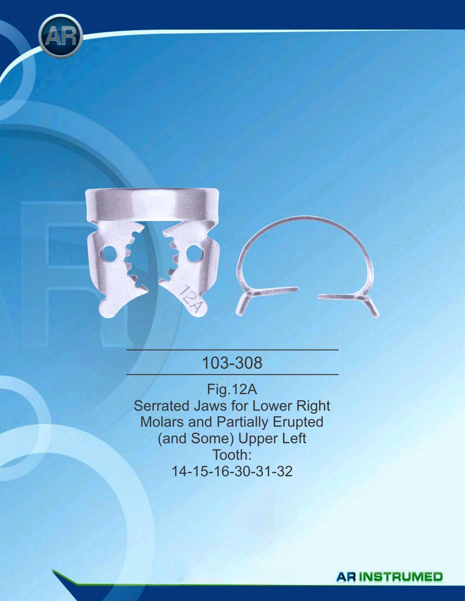 Serrated Jaws For Lower Right Molars and Partially Erupted (and some) Upper Left Tooth:14-15-16-30-31-32
