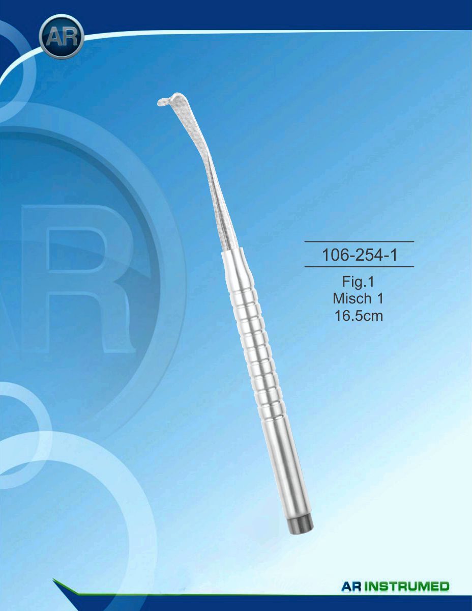 Fig.1 Misch 1 16.5cm