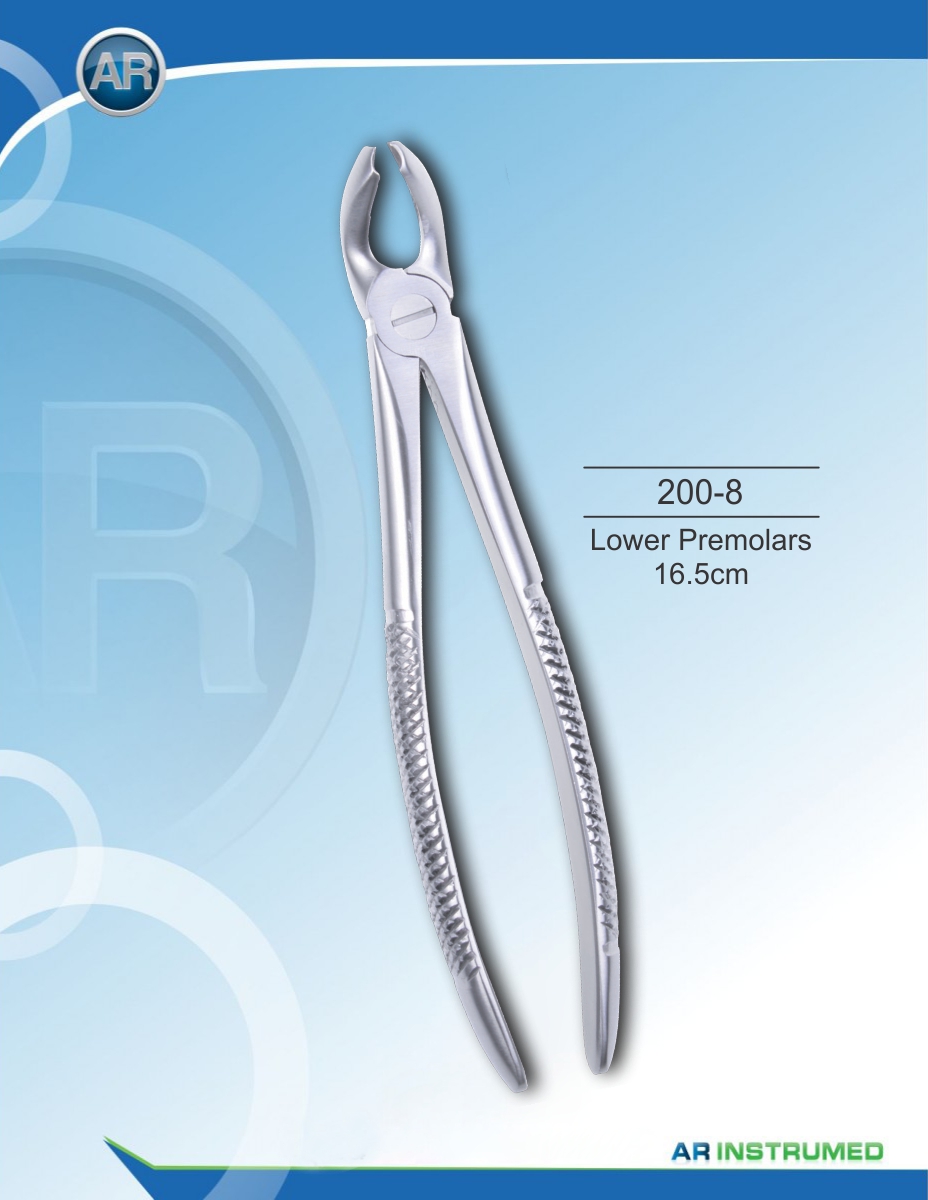 Lower Premolars 16.5cm