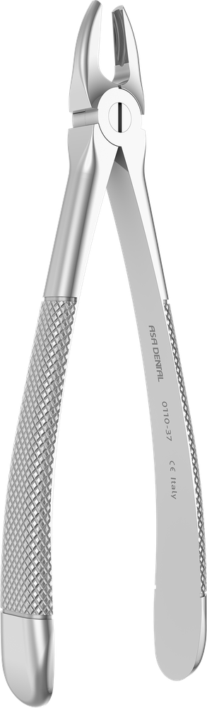 OK-Frontzähne, Prämolaren, Wurzeln - 15,3 cm - mit geriffelten Spitzen 0110-37 – ASA Dental S.p.A. Uninominale
