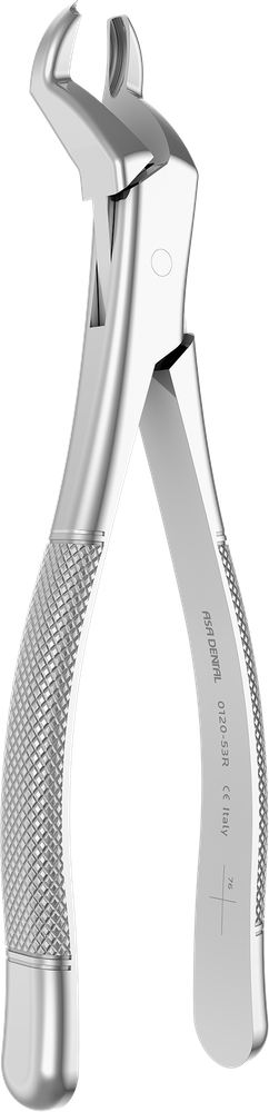 0120-53R – ASA Dental S.p.A. Uninominale