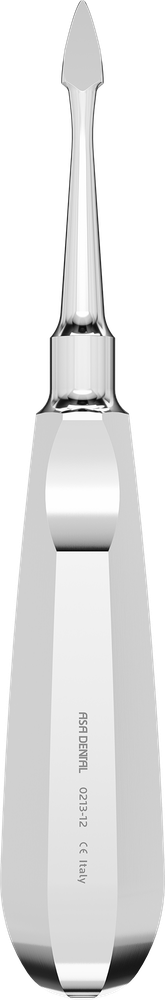 0213-12 – ASA Dental S.p.A. Uninominale, Wurzelheber