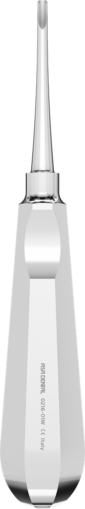 Seldin 301W – ASA Dental S.p.A. Uninominale, Root Elevators