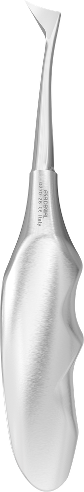 Cryer 26 – ASA Dental S.p.A. Uninominale, Wurzelheber