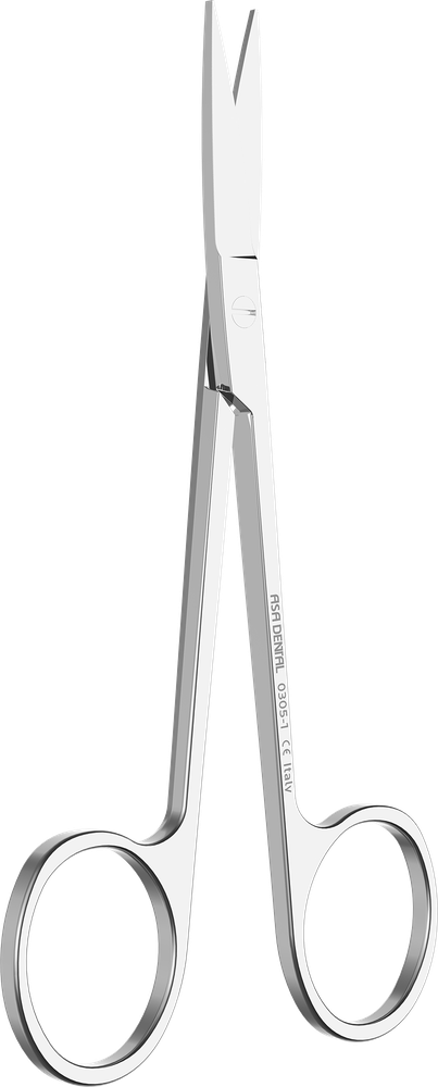 Iris 0305-1
