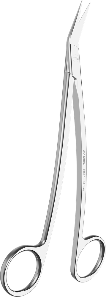 Dean 0306-1