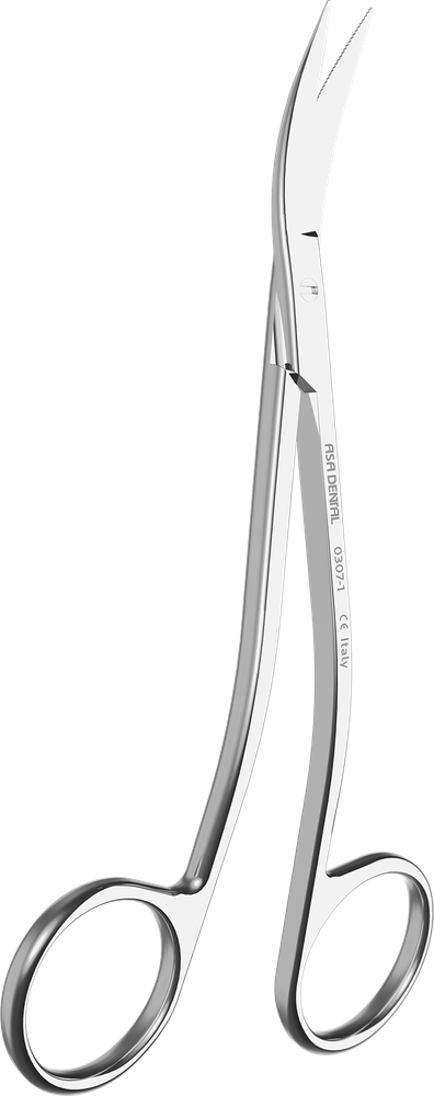 LaGrange 0307-1