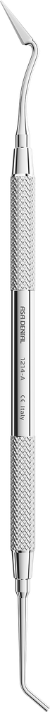 1214-A – ASA Dental S.p.A. Uninominale, Polishers