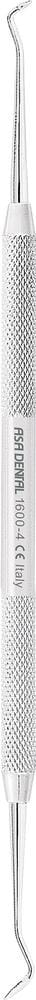 Cleoid-Discoid 1600-4
