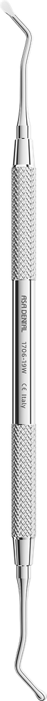 1706-19W – ASA Dental S.p.A. Uninominale, Carbide Burs, Ceramic Burs