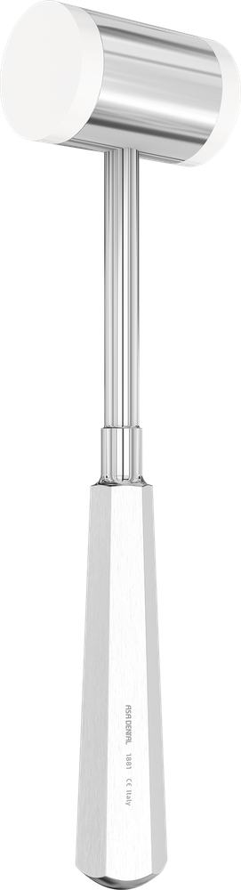 Mead 1881