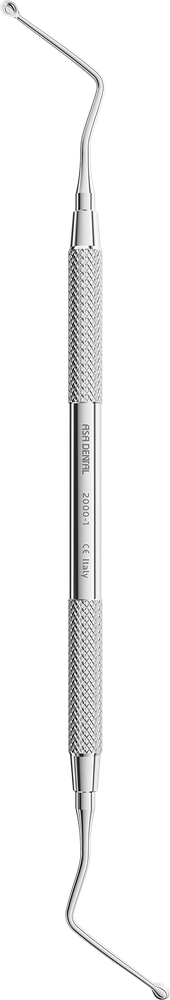 Hemingway 2000-1 – ASA Dental S.p.A. Uninominale